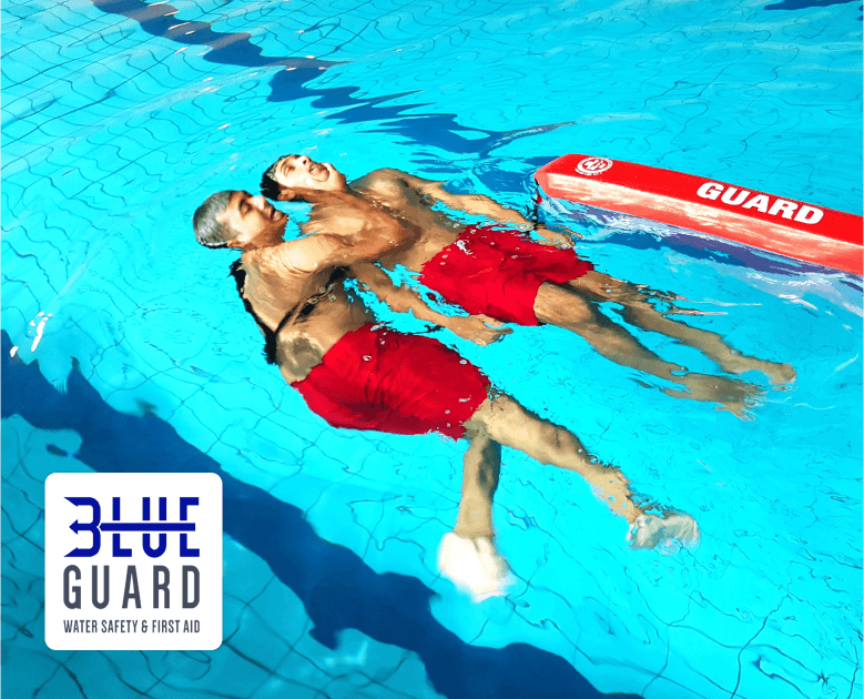 PROFESSIONAL SERVICES